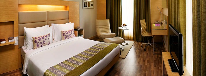 1025/The Raintree Hotel St. Marys Road - Chennai 11.jpg